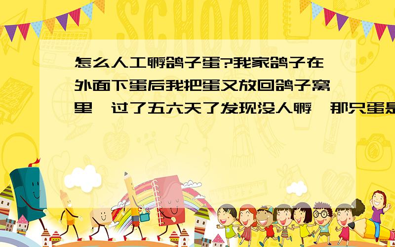 怎么人工孵鸽子蛋?我家鸽子在外面下蛋后我把蛋又放回鸽子窝里,过了五六天了发现没人孵,那只蛋是没用了吗?怎么人工孵化鸽子蛋