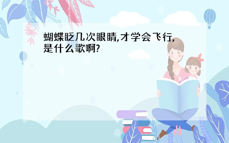 蝴蝶眨几次眼睛,才学会飞行,是什么歌啊?