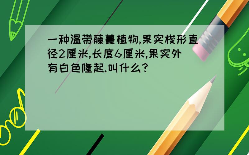 一种温带藤蔓植物,果实梭形直径2厘米,长度6厘米,果实外有白色隆起.叫什么?