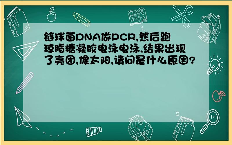 链球菌DNA做PCR,然后跑琼脂糖凝胶电泳电泳,结果出现了亮团,像太阳,请问是什么原因?