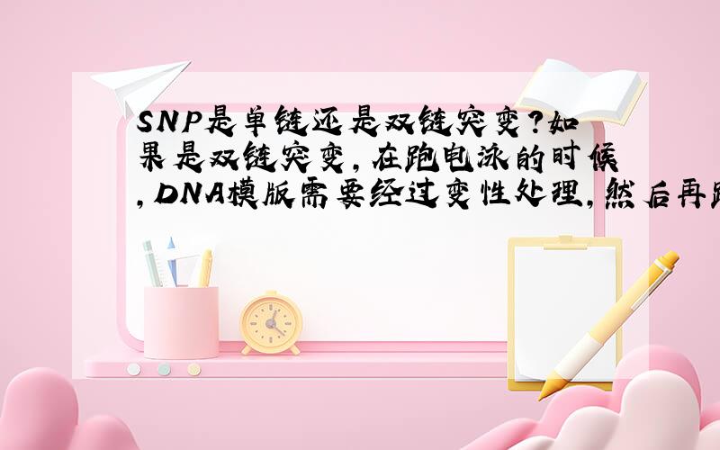 SNP是单链还是双链突变?如果是双链突变,在跑电泳的时候,DNA模版需要经过变性处理,然后再跑胶吗?