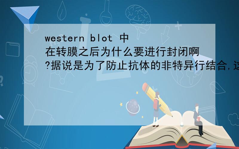 western blot 中在转膜之后为什么要进行封闭啊?据说是为了防止抗体的非特异行结合,这里的非特异性结合指的是什么