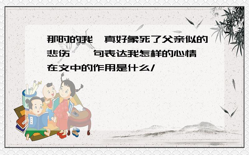 那时的我,真好象死了父亲似的悲伤,一句表达我怎样的心情,在文中的作用是什么/