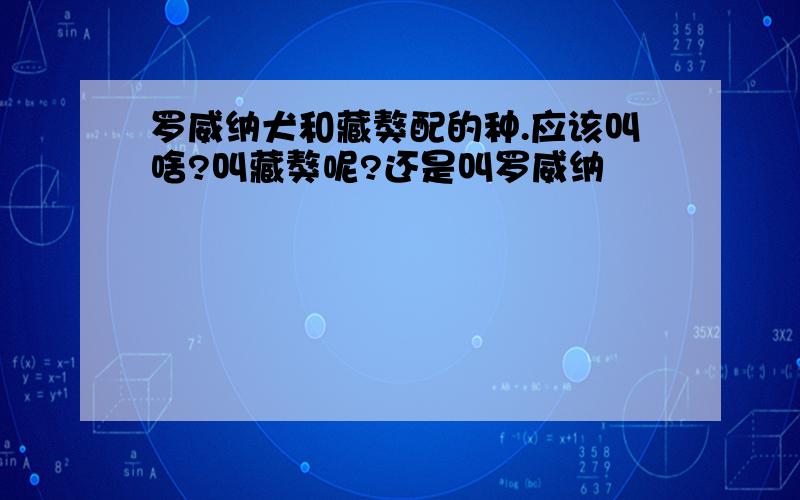 罗威纳犬和藏獒配的种.应该叫啥?叫藏獒呢?还是叫罗威纳