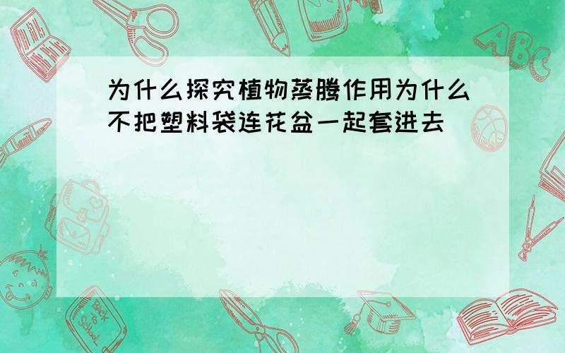 为什么探究植物蒸腾作用为什么不把塑料袋连花盆一起套进去