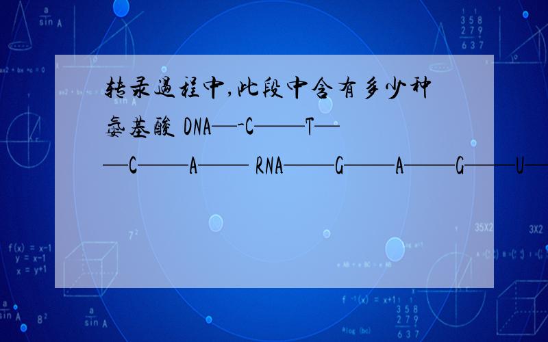 转录过程中,此段中含有多少种氨基酸 DNA—-C——T——C——A—— RNA——G——A——G——U—— 为什么?