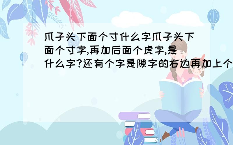 爪子头下面个寸什么字爪子头下面个寸字,再加后面个虎字,是什么字?还有个字是隙字的右边再加上个虎字,是什么字?