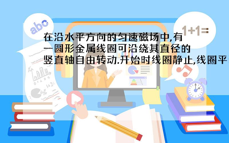 在沿水平方向的匀速磁场中,有一圆形金属线圈可沿绕其直径的竖直轴自由转动.开始时线圈静止,线圈平面与磁场平面既不平行也不垂