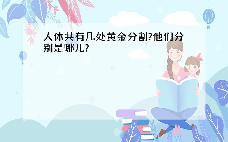 人体共有几处黄金分割?他们分别是哪儿?