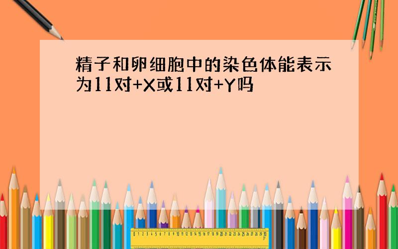 精子和卵细胞中的染色体能表示为11对+X或11对+Y吗