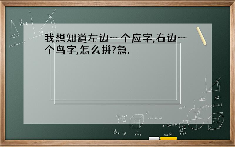 我想知道左边一个应字,右边一个鸟字,怎么拼?急.