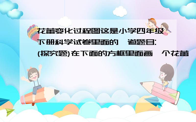 花蕾变化过程图这是小学四年级下册科学试卷里面的一道题目:(探究题)在下面的方框里面画一个花蕾,并画出这个花蕾未来的变化过