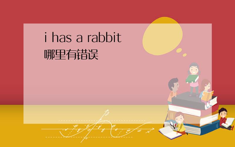 i has a rabbit哪里有错误