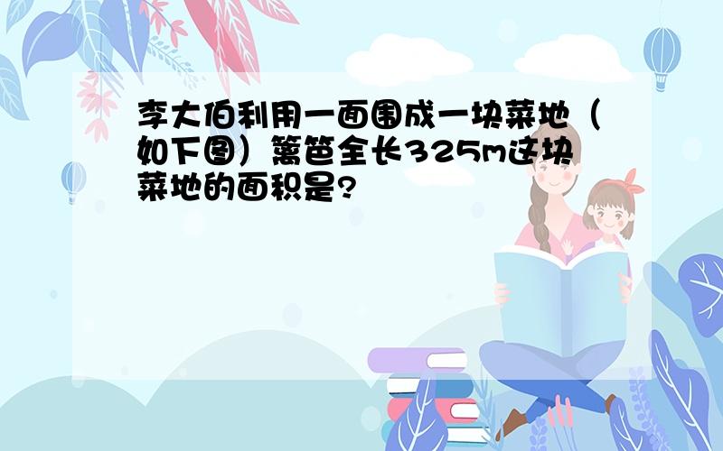 李大伯利用一面围成一块菜地（如下图）篱笆全长325m这块菜地的面积是?