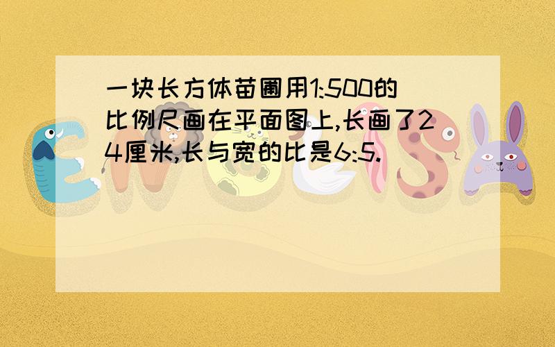 一块长方体苗圃用1:500的比例尺画在平面图上,长画了24厘米,长与宽的比是6:5.