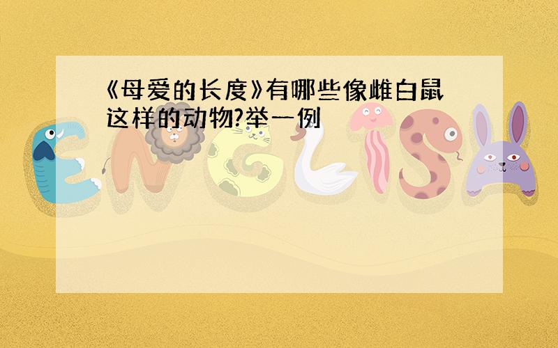 《母爱的长度》有哪些像雌白鼠这样的动物?举一例