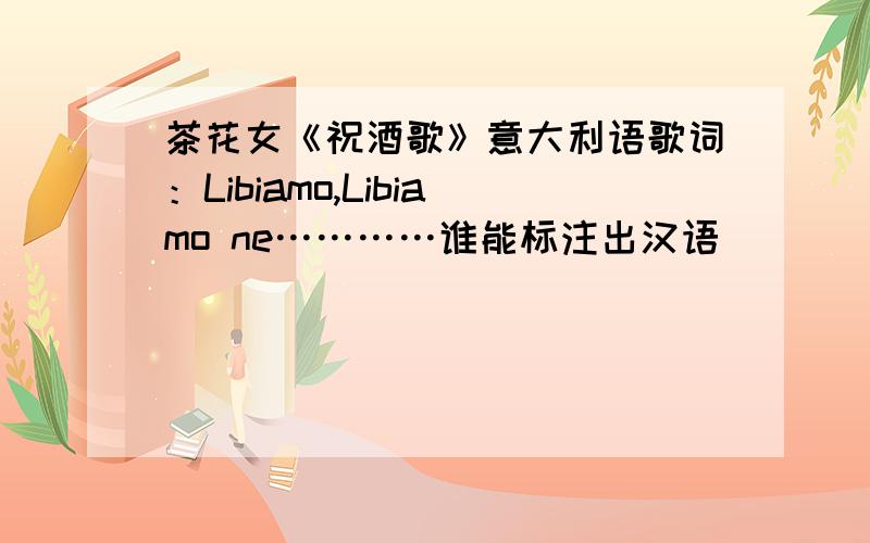 茶花女《祝酒歌》意大利语歌词：Libiamo,Libiamo ne…………谁能标注出汉语