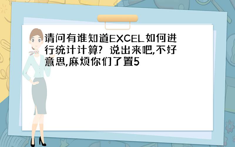 请问有谁知道EXCEL如何进行统计计算?　说出来吧,不好意思,麻烦你们了置5