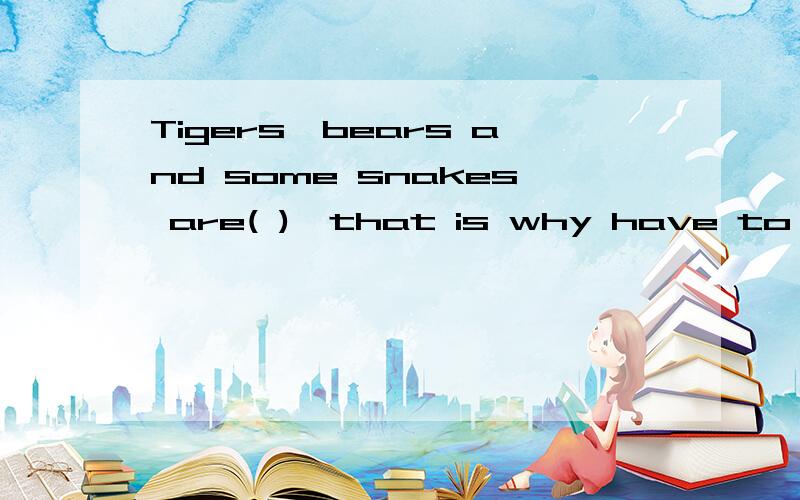 Tigers,bears and some snakes are( ),that is why have to stay