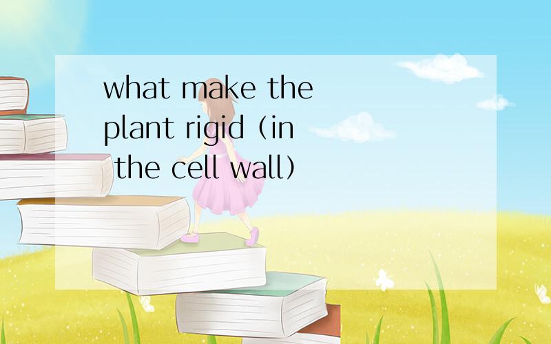 what make the plant rigid（in the cell wall）