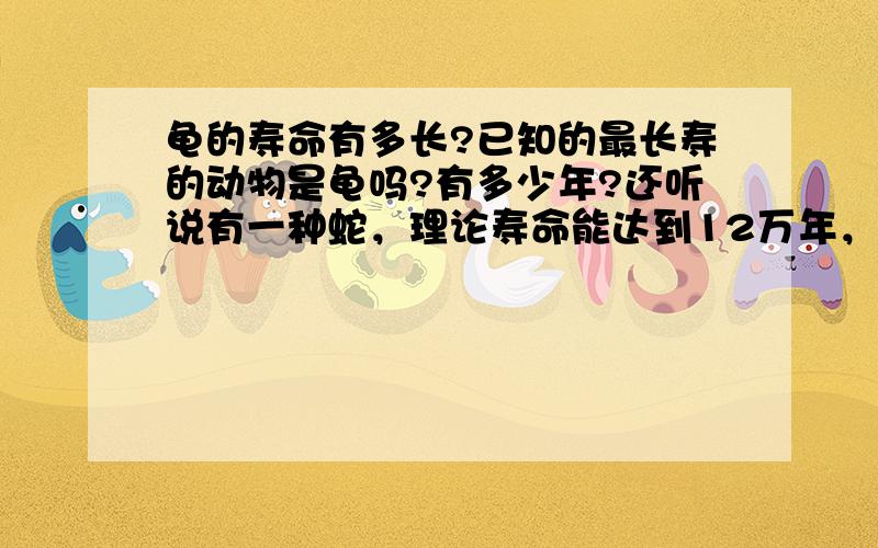 龟的寿命有多长?已知的最长寿的动物是龟吗?有多少年?还听说有一种蛇，理论寿命能达到12万年，那是怎么一种情况？