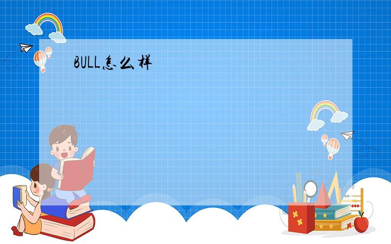 BULL怎么样