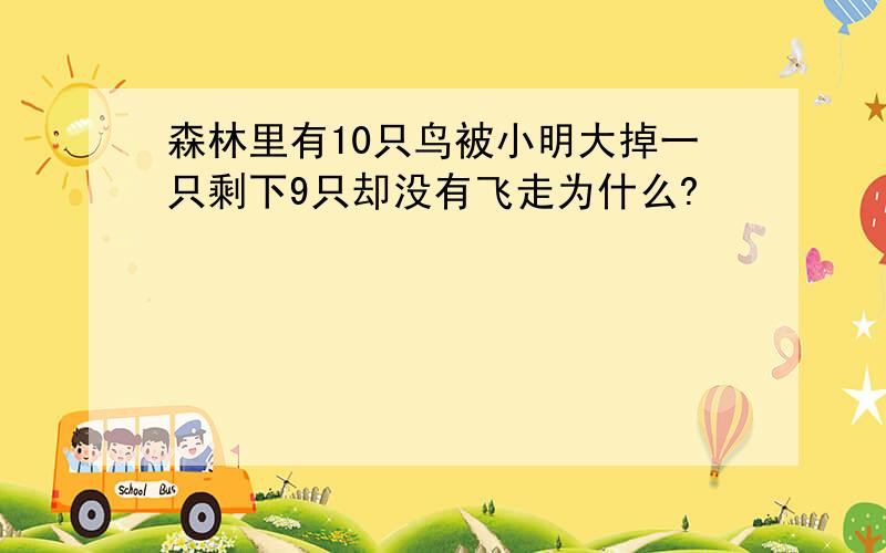 森林里有10只鸟被小明大掉一只剩下9只却没有飞走为什么?