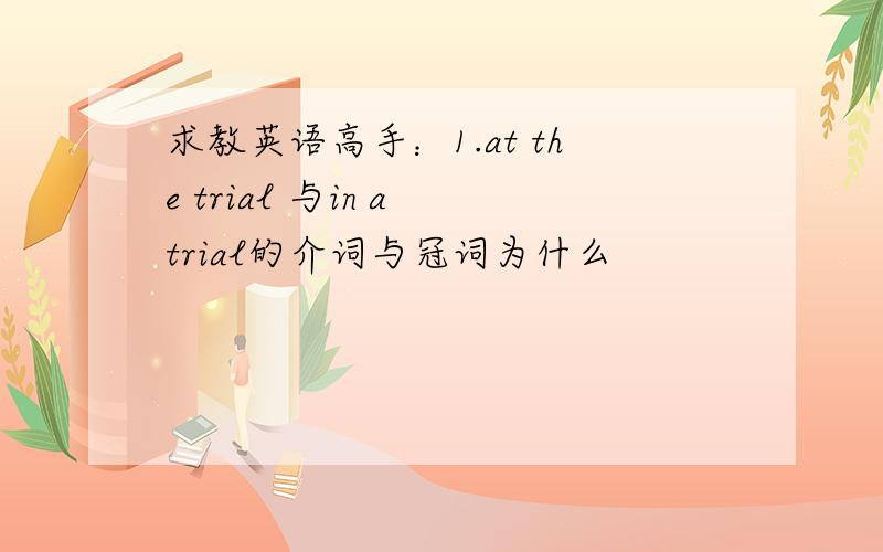 求教英语高手：1.at the trial 与in a trial的介词与冠词为什么