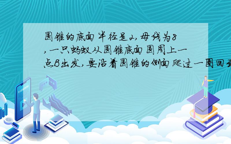 圆锥的底面半径是2,母线为8,一只蚂蚁从圆锥底面圆周上一点B出发,要沿着圆锥的侧面爬过一圈回到母线AB中点P