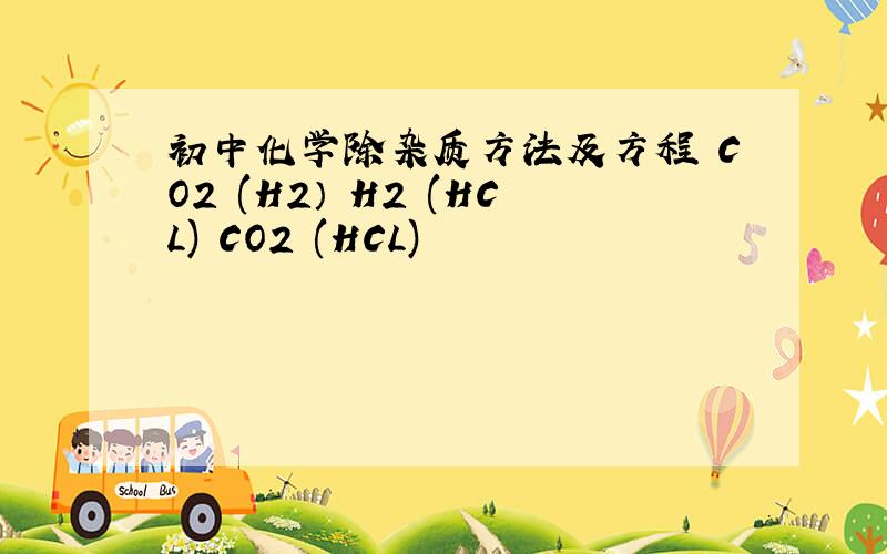 初中化学除杂质方法及方程 CO2 (H2） H2 (HCL) CO2 (HCL)