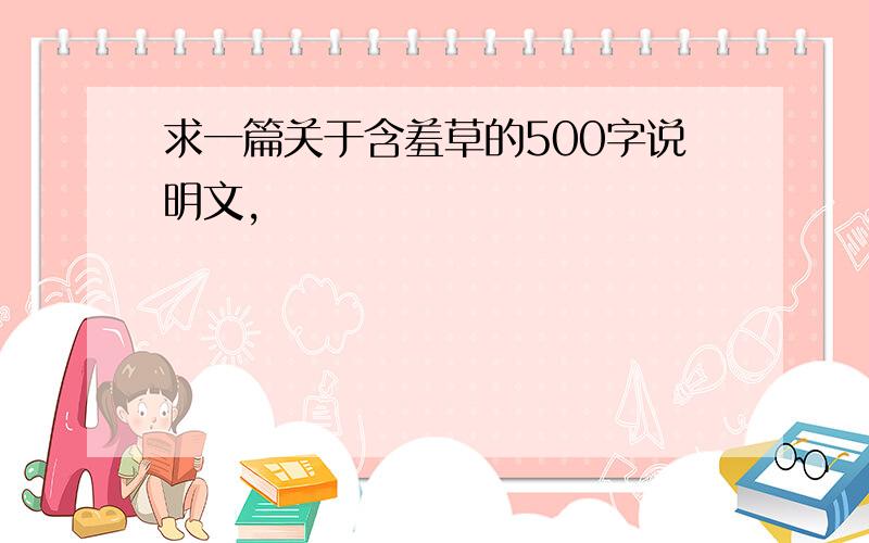 求一篇关于含羞草的500字说明文,